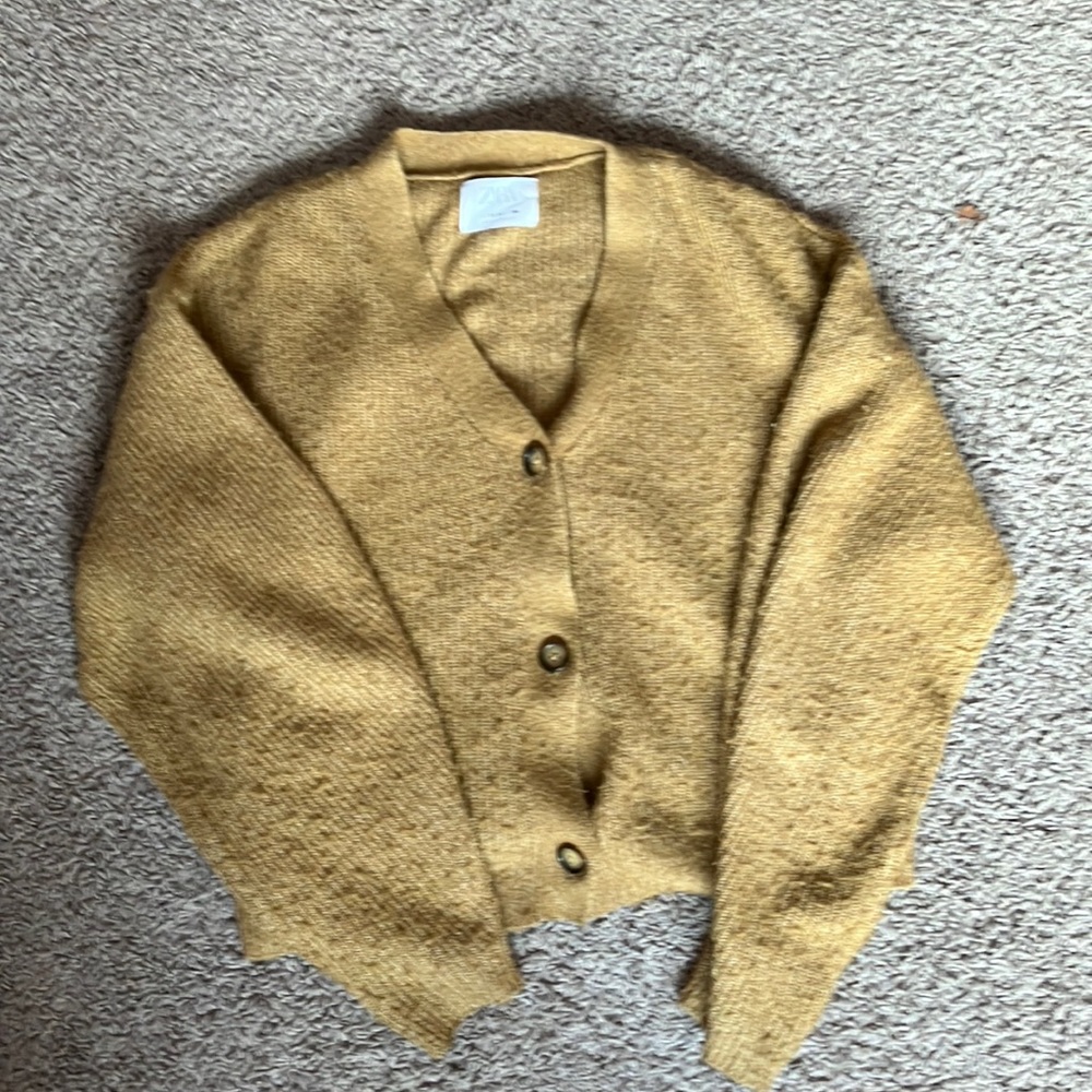 Zara sweater